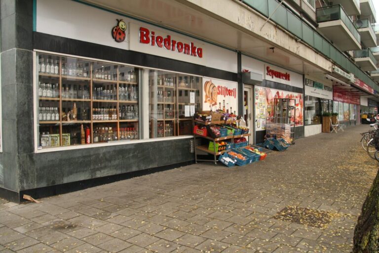 Dino Zuid BV ChIJ55LWhJwzxEcR79JMlpiU2KE 1 768x512