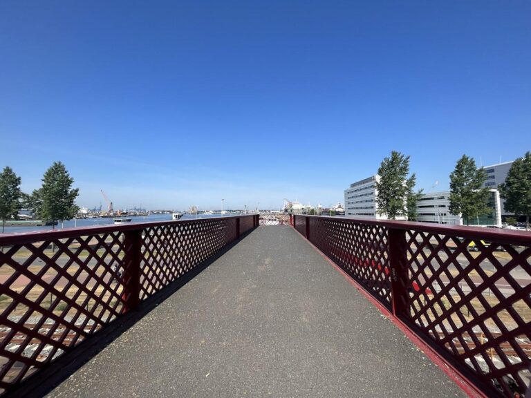 Gust Romijnbrug ChIJWW8KxXY1xEcRgBVeyXEEFvE 1 768x576