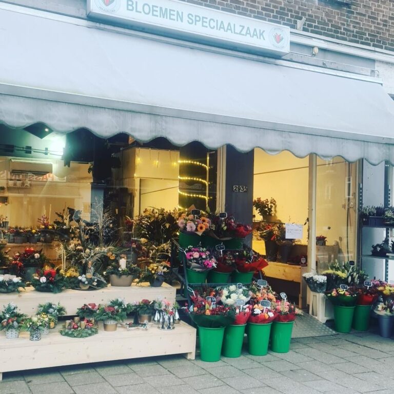 Maasflora ChIJn FeCiI1xEcR6LHiW6E5V6A 1 768x768