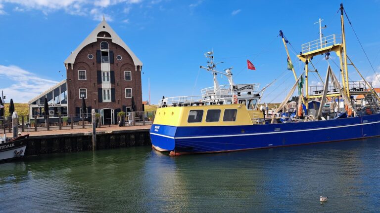 Oudeschild Texel ChIJp5ttVgAxz0cR0QzW53YMSqs 1 768x432