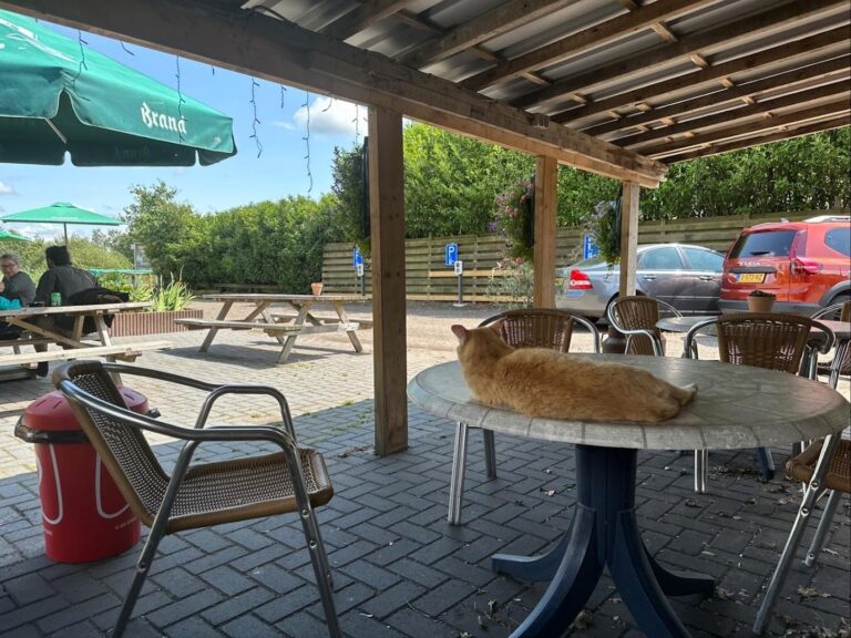 Snackbar cafetaria De Deukten ChIJMzABx2JvyEcRc41rnzeXy6Q 1 768x576
