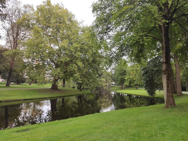 Soci teitsbrug ChIJxw3jwZw0xEcRLS JJua2Fm8 1 768x576