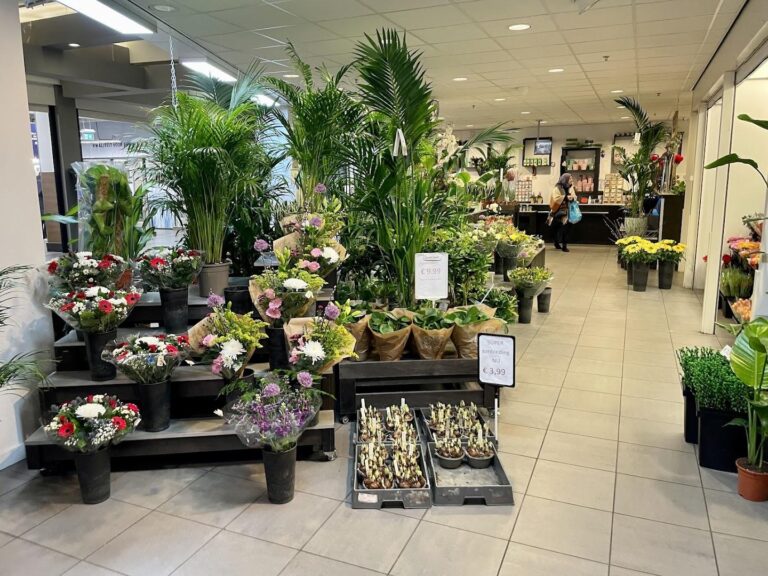Willem s Flowershop ChIJ TWDOKw0xEcRJ5HUcUZD1hs 1 768x576