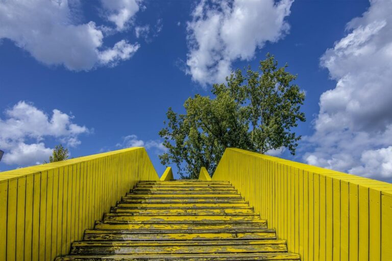 Yellow Woodbrige ChIJ5fG391czxEcRVfVCXGDrerk 1 768x512